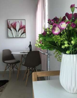 Апартаменты Apartmani Breze Подгорица Апартаменты-студио-1