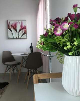 Апартаменты Apartmani Breze Подгорица Апартаменты-студио-19