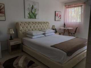 Апартаменты Apartmani Breze Подгорица Апартаменты-студио-20