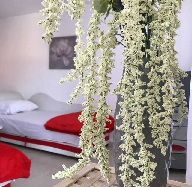Апартаменты Apartmani Breze Подгорица-18